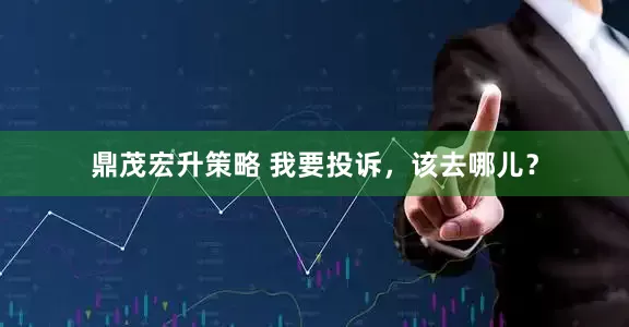 鼎茂宏升策略 我要投诉，该去哪儿？