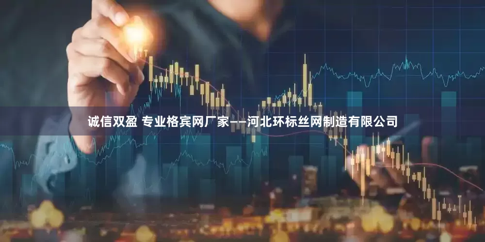 诚信双盈 专业格宾网厂家——河北环标丝网制造有限公司